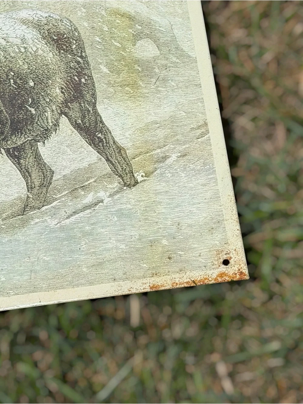 Vintage 1991 Moose Embossed Metal Wall Sign Rustic Cabin Lodge Wildlife Decor‎